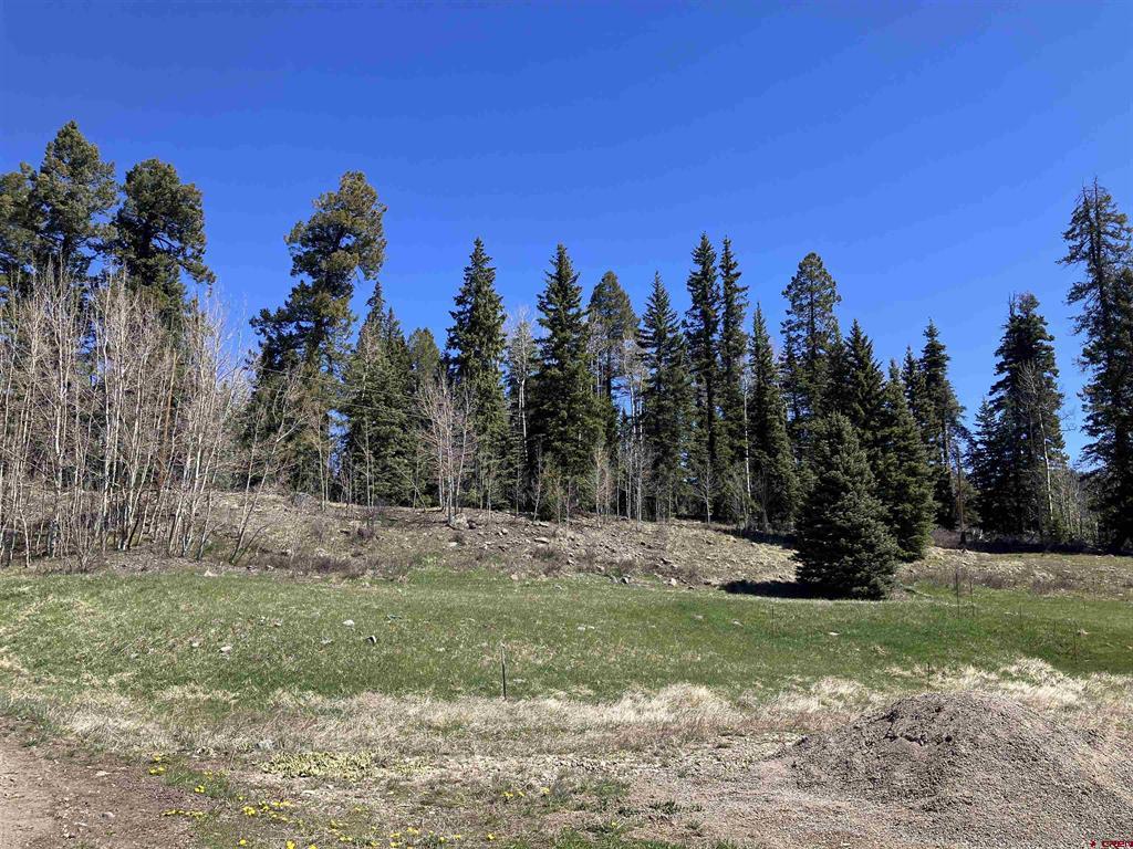 222 Lost Valley Drive Creede CO 81130