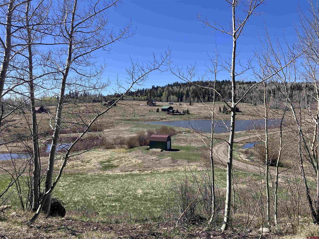222 Lost Valley Drive Creede CO 81130