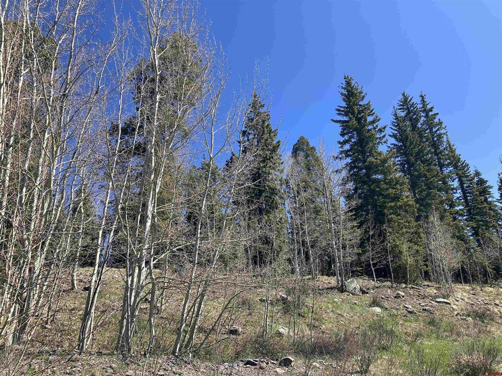 222 Lost Valley Drive Creede CO 81130