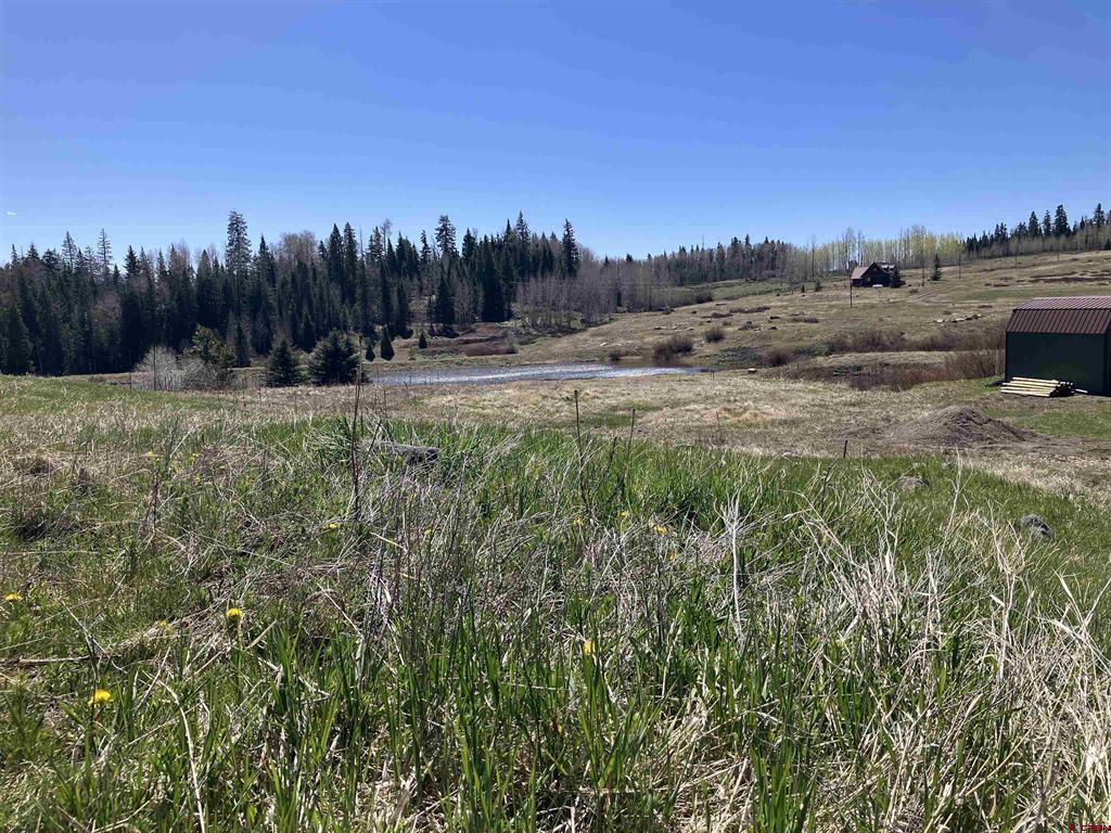 222 Lost Valley Drive Creede CO 81130