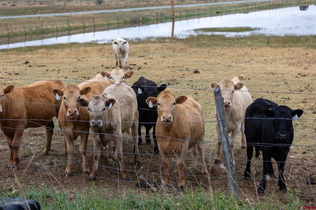 Tbd S Cr 6 E Monte Vista CO 81144
