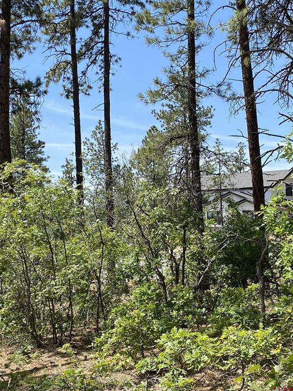 163 Boulder View Drive Durango CO 81301