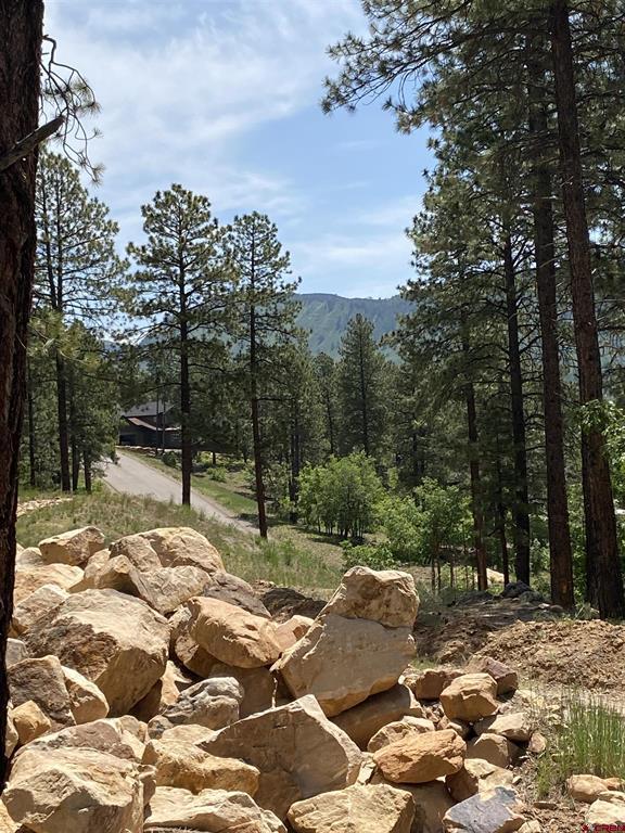 163 Boulder View Drive Durango CO 81301