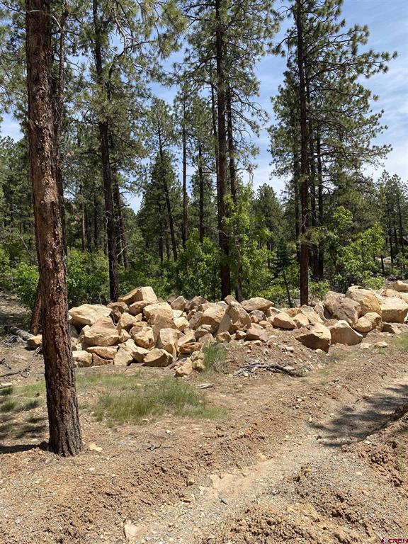 163 Boulder View Drive Durango CO 81301
