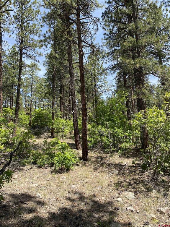 163 Boulder View Drive Durango CO 81301