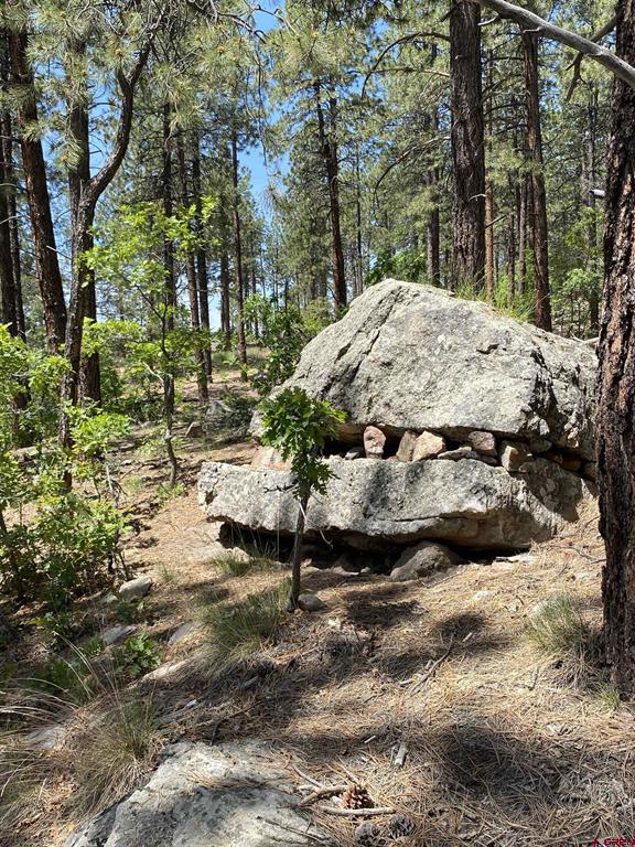 163 Boulder View Drive Durango CO 81301