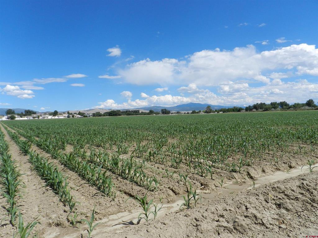 Tbd Highway 50/iron Horse Drive Montrose CO 81401