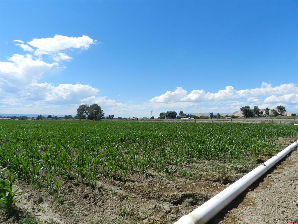 Tbd Highway 50/iron Horse Drive Montrose CO 81401