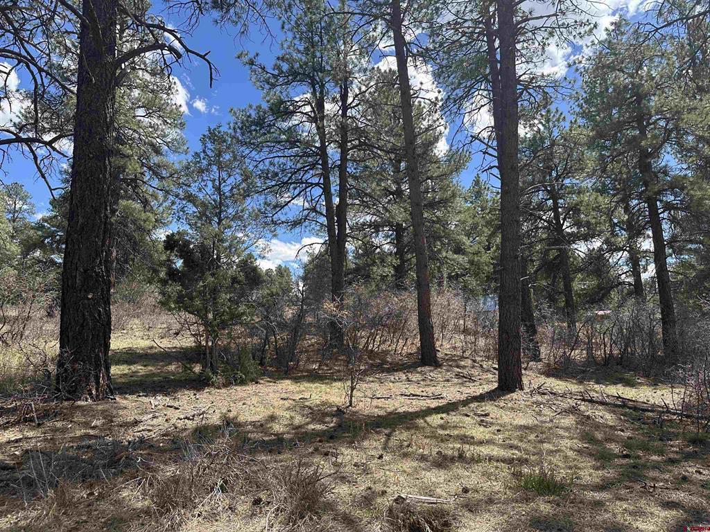 127 Ute Lane Pagosa Springs CO 81147