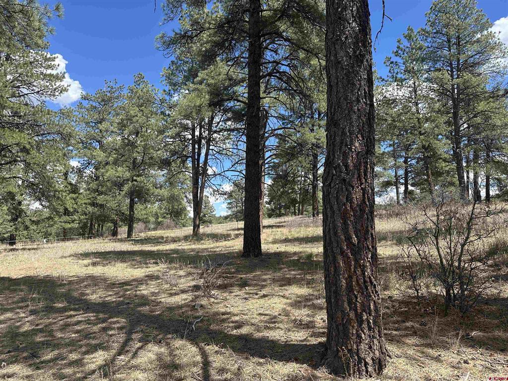 127 Ute Lane Pagosa Springs CO 81147