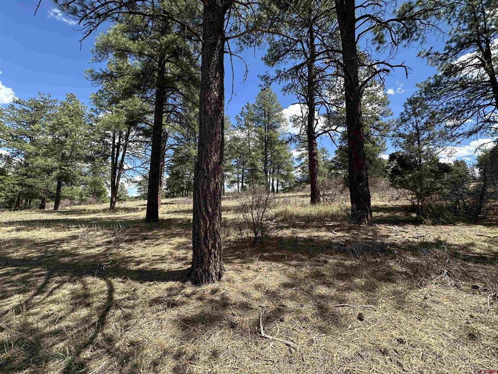 127 Ute Lane Pagosa Springs CO 81147