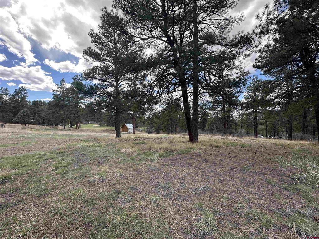 127 Ute Lane Pagosa Springs CO 81147