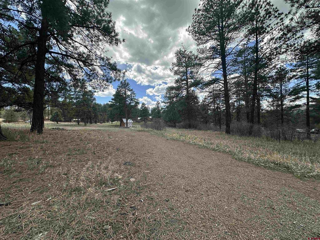 127 Ute Lane Pagosa Springs CO 81147