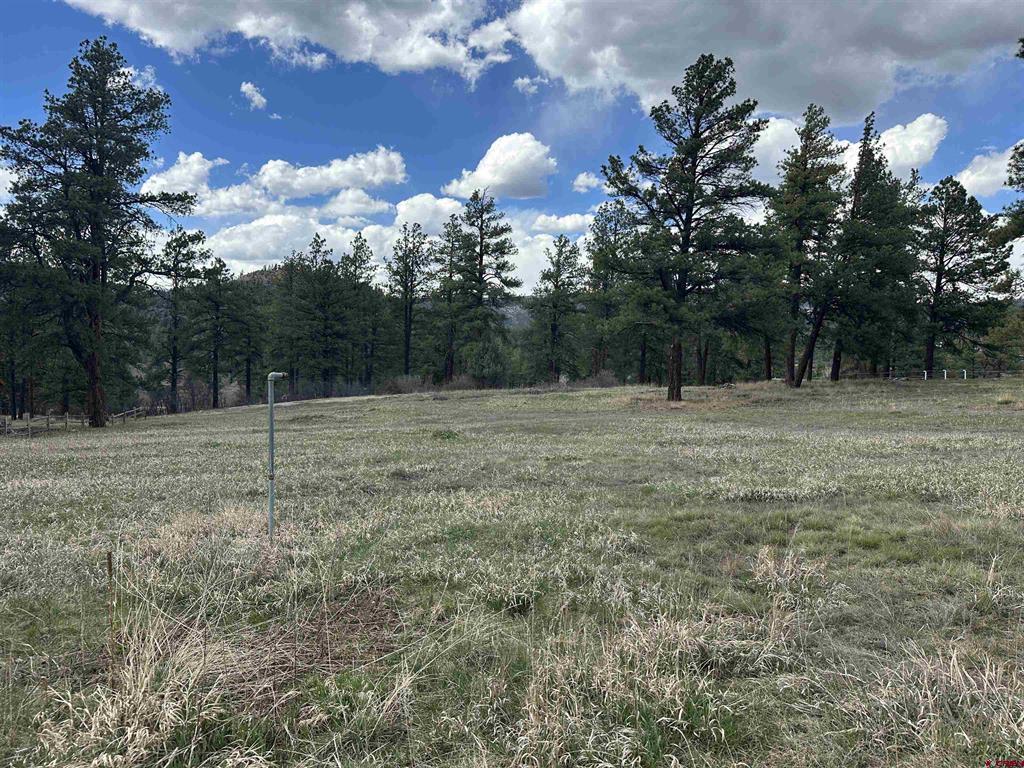 127 Ute Lane Pagosa Springs CO 81147