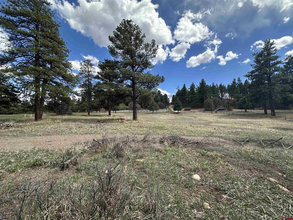 127 Ute Lane Pagosa Springs CO 81147