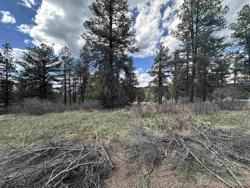 127 Ute Lane Pagosa Springs CO 81147