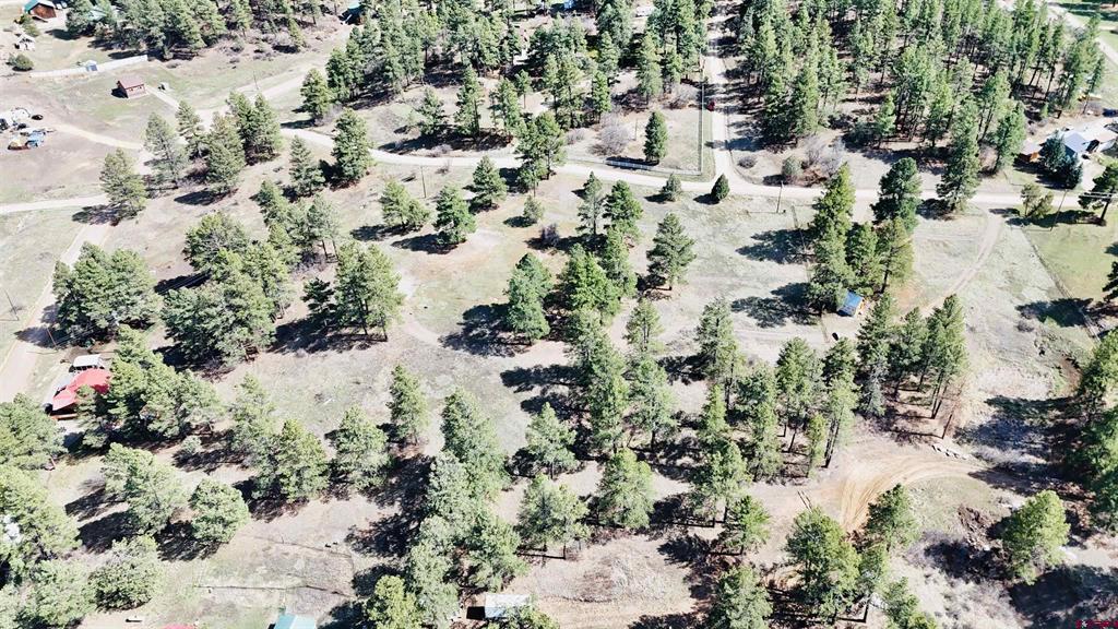 127 Ute Lane Pagosa Springs CO 81147
