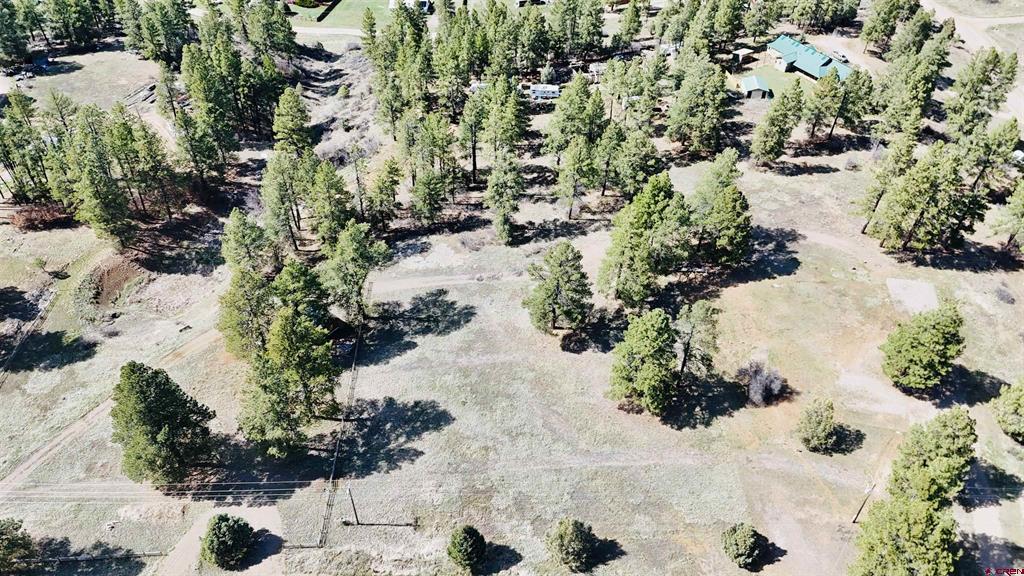 127 Ute Lane Pagosa Springs CO 81147
