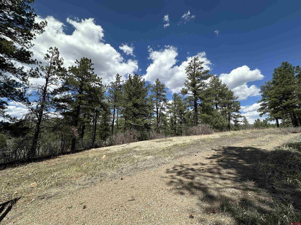 127 Ute Lane Pagosa Springs CO 81147