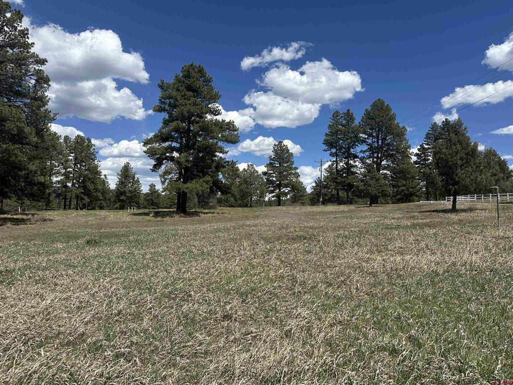 127 Ute Lane Pagosa Springs CO 81147