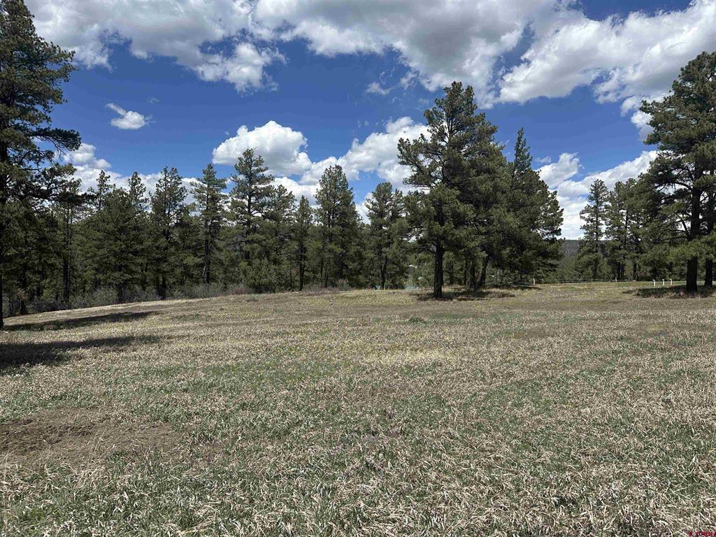 127 Ute Lane Pagosa Springs CO 81147