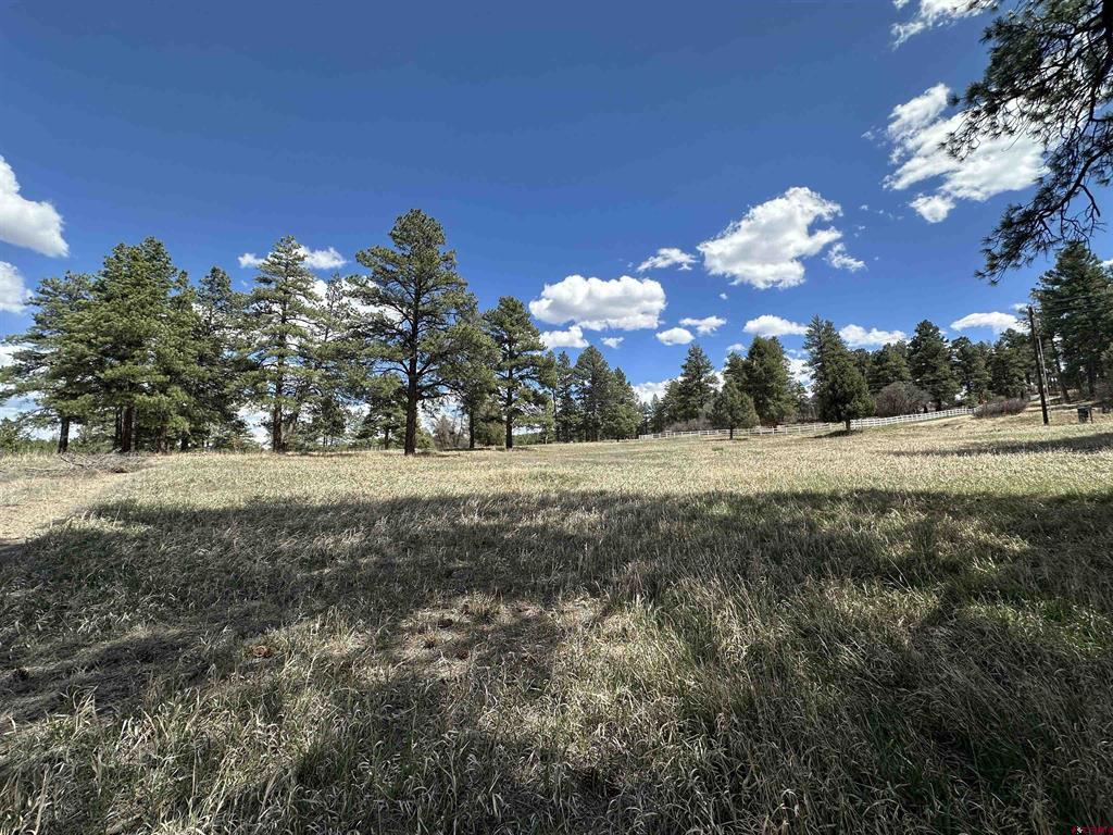127 Ute Lane Pagosa Springs CO 81147