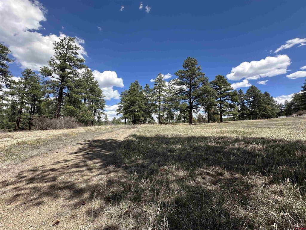 127 Ute Lane Pagosa Springs CO 81147