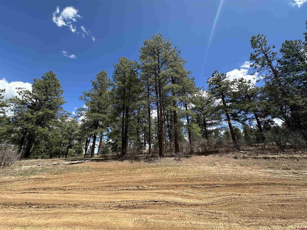 127 Ute Lane Pagosa Springs CO 81147