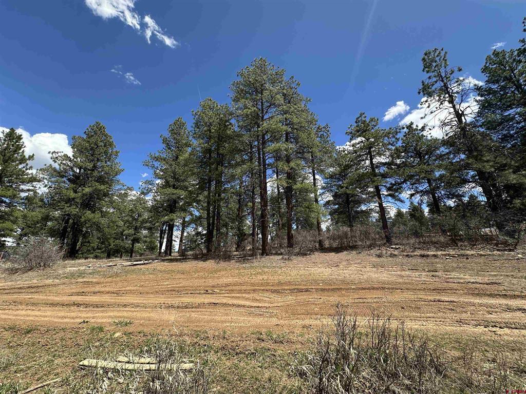 127 Ute Lane Pagosa Springs CO 81147
