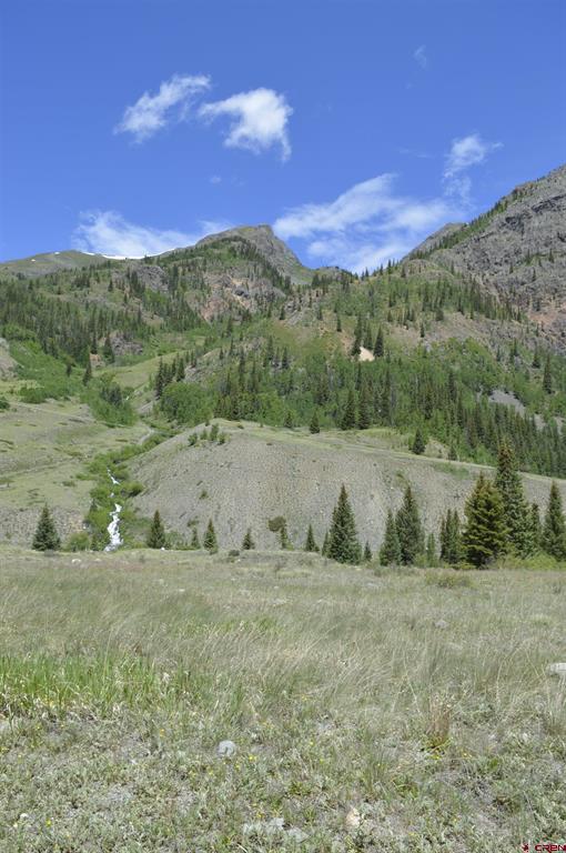 2042 County Road 2 Silverton CO 81433