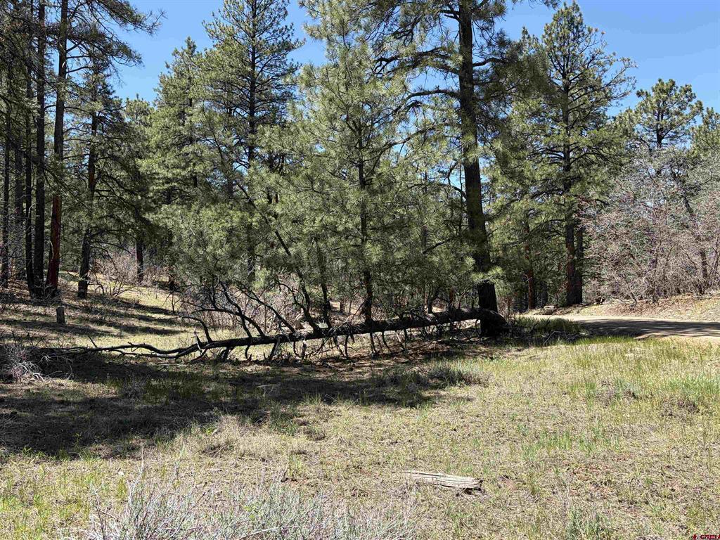 223 Dean's Place Pagosa Springs CO 81147