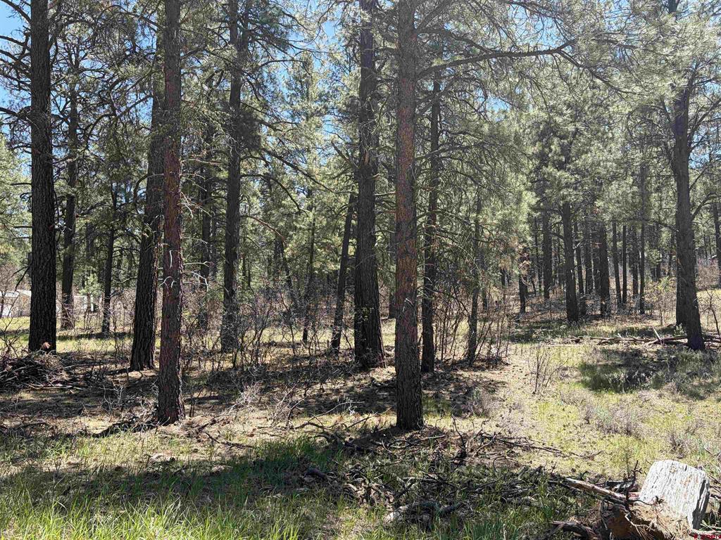 223 Dean's Place Pagosa Springs CO 81147