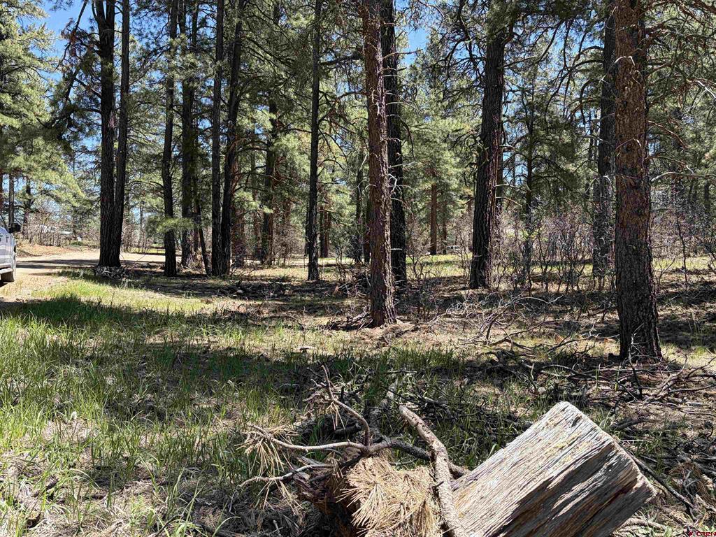 223 Dean's Place Pagosa Springs CO 81147