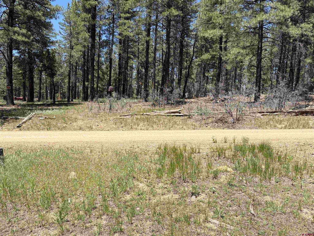 223 Dean's Place Pagosa Springs CO 81147