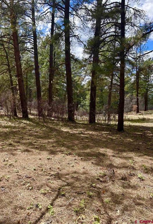 223 Dean's Place Pagosa Springs CO 81147
