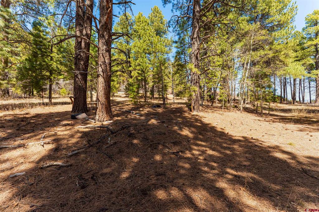 116 Pine Drive Bayfield CO 81122