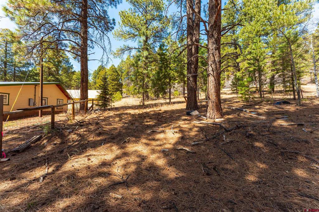 116 Pine Drive Bayfield CO 81122