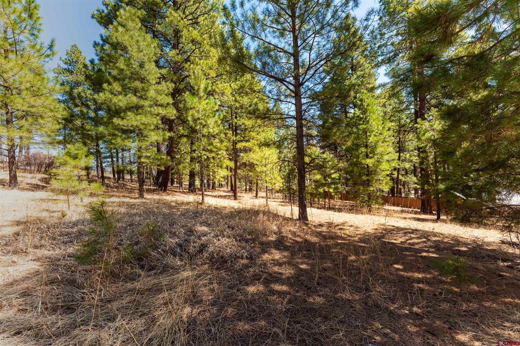 116 Pine Drive Bayfield CO 81122
