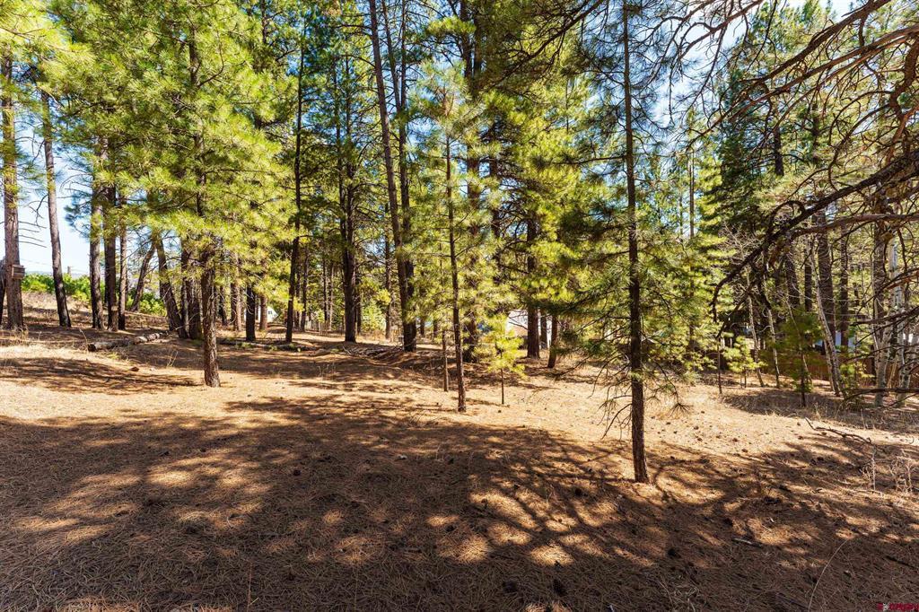 116 Pine Drive Bayfield CO 81122