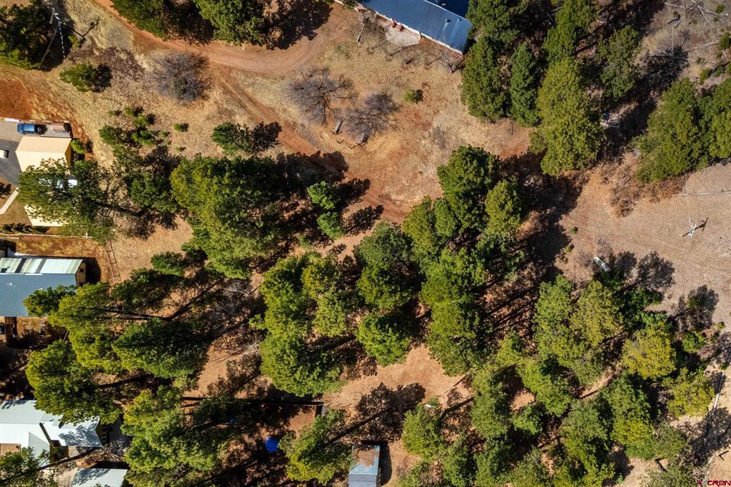 116 Pine Drive Bayfield CO 81122