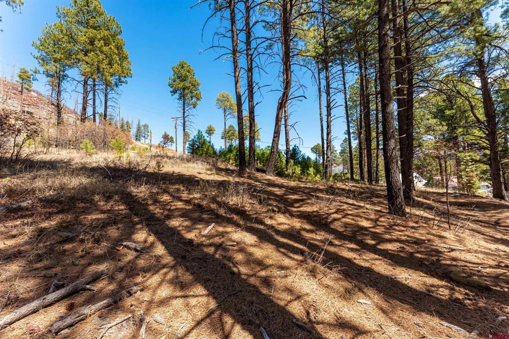 116 Pine Drive Bayfield CO 81122