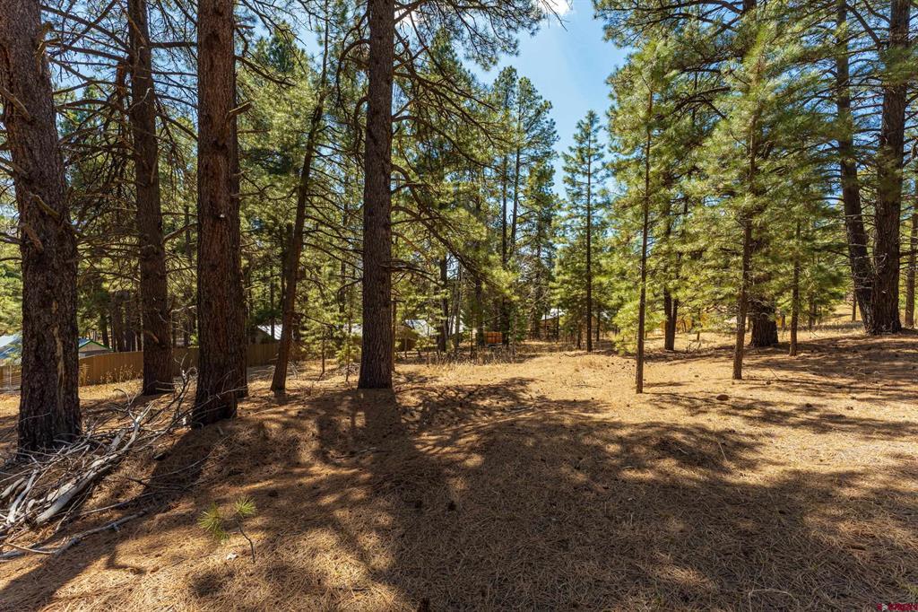 116 Pine Drive Bayfield CO 81122
