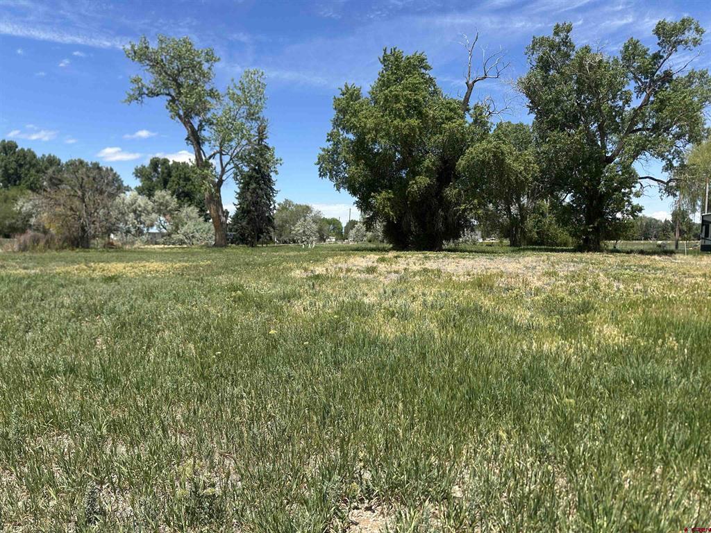 16674 6300 Road Montrose CO 81403