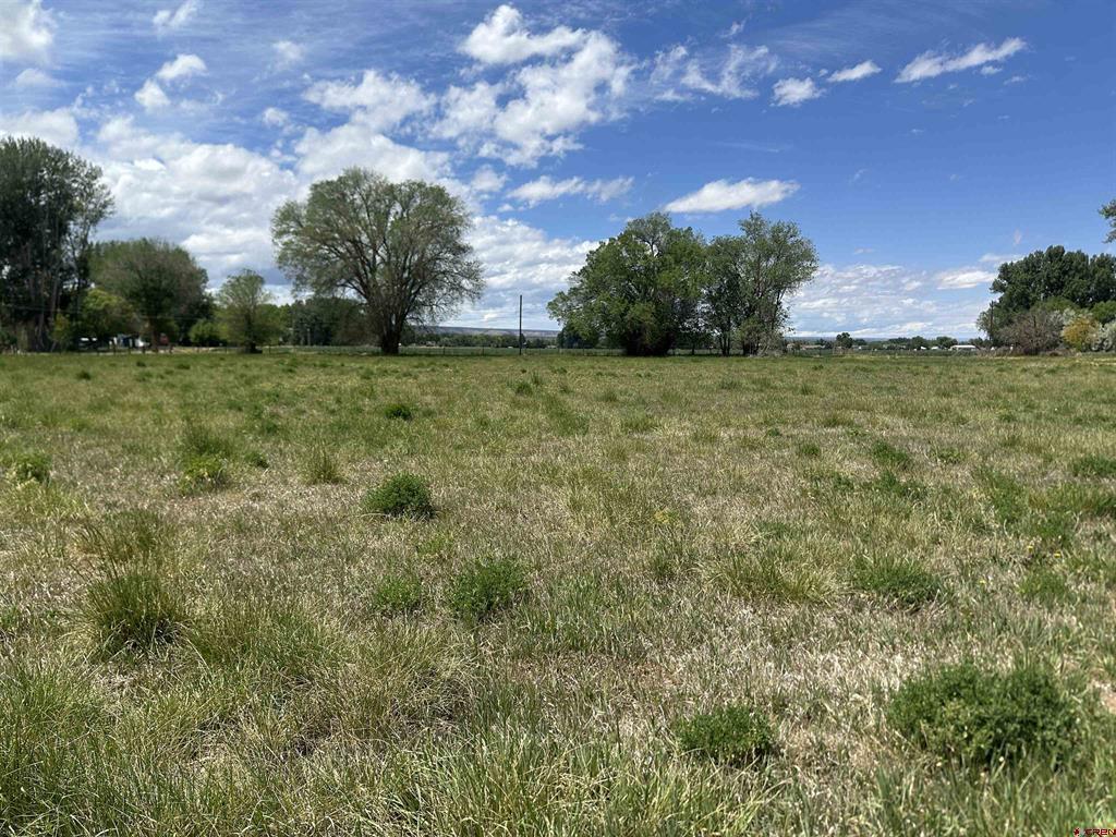16674 6300 Road Montrose CO 81403