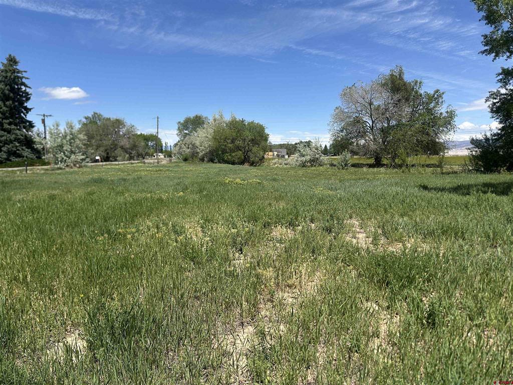 16674 6300 Road Montrose CO 81403