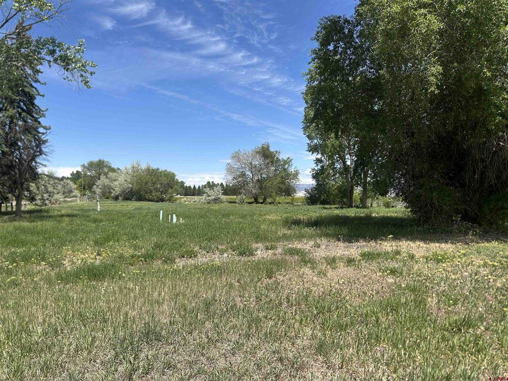 16674 6300 Road Montrose CO 81403