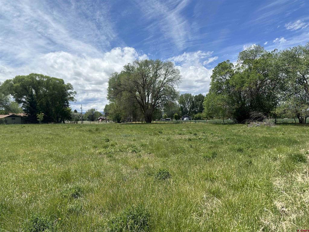 16674 6300 Road Montrose CO 81403