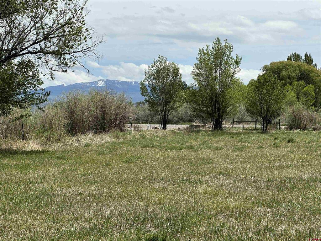 16674 6300 Road Montrose CO 81403