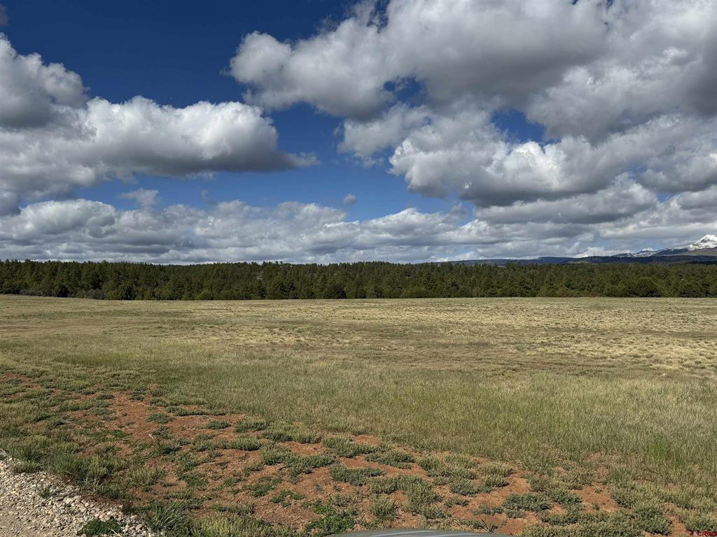 Tbd Road 39.2 Mancos CO 81328