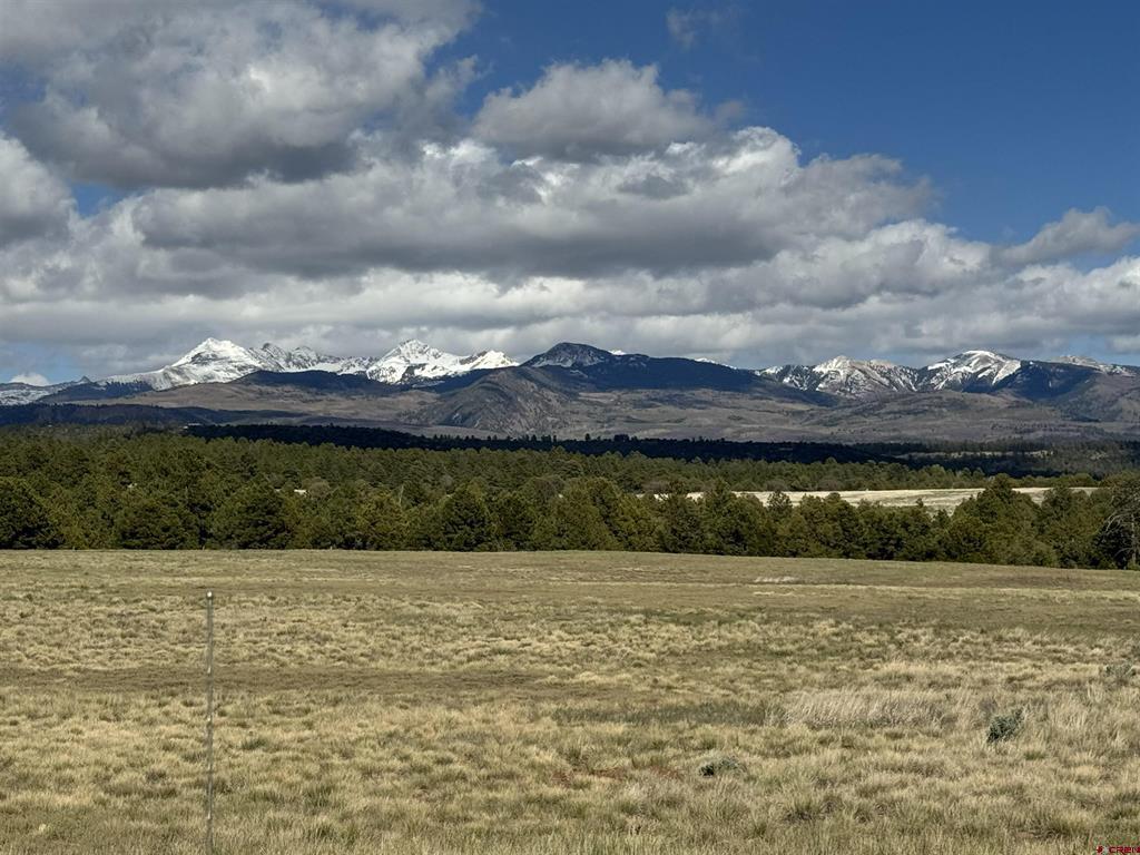 Tbd Road 39.2 Mancos CO 81328